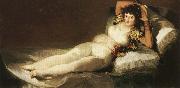 Francisco Goya The Clothed Maja oil painting
